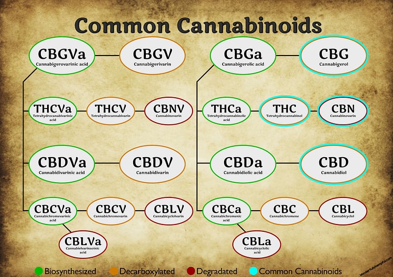 Personalized Custom-made Cannabis Oil Treatment